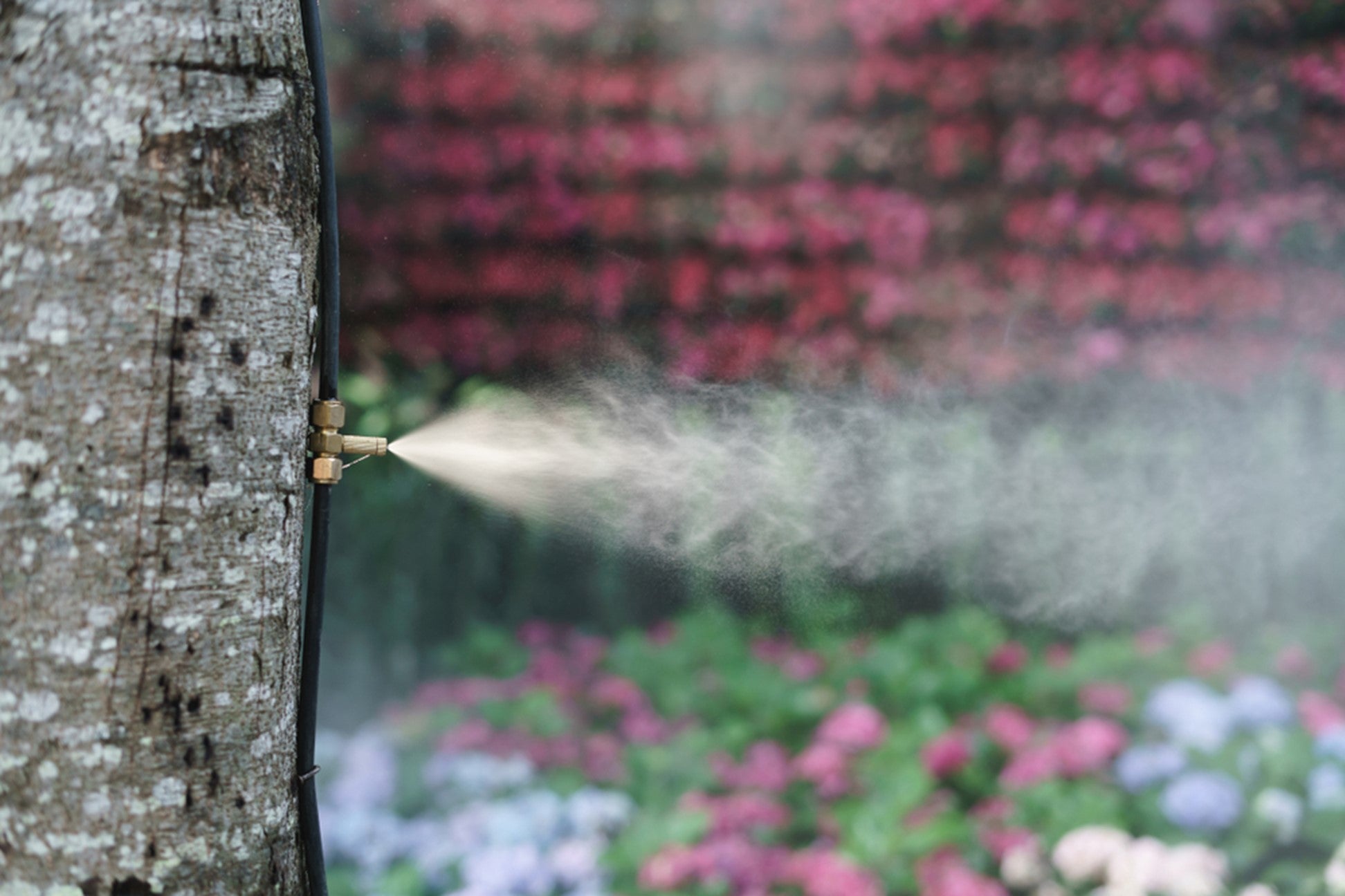 Learn how to maintain your misting system easily