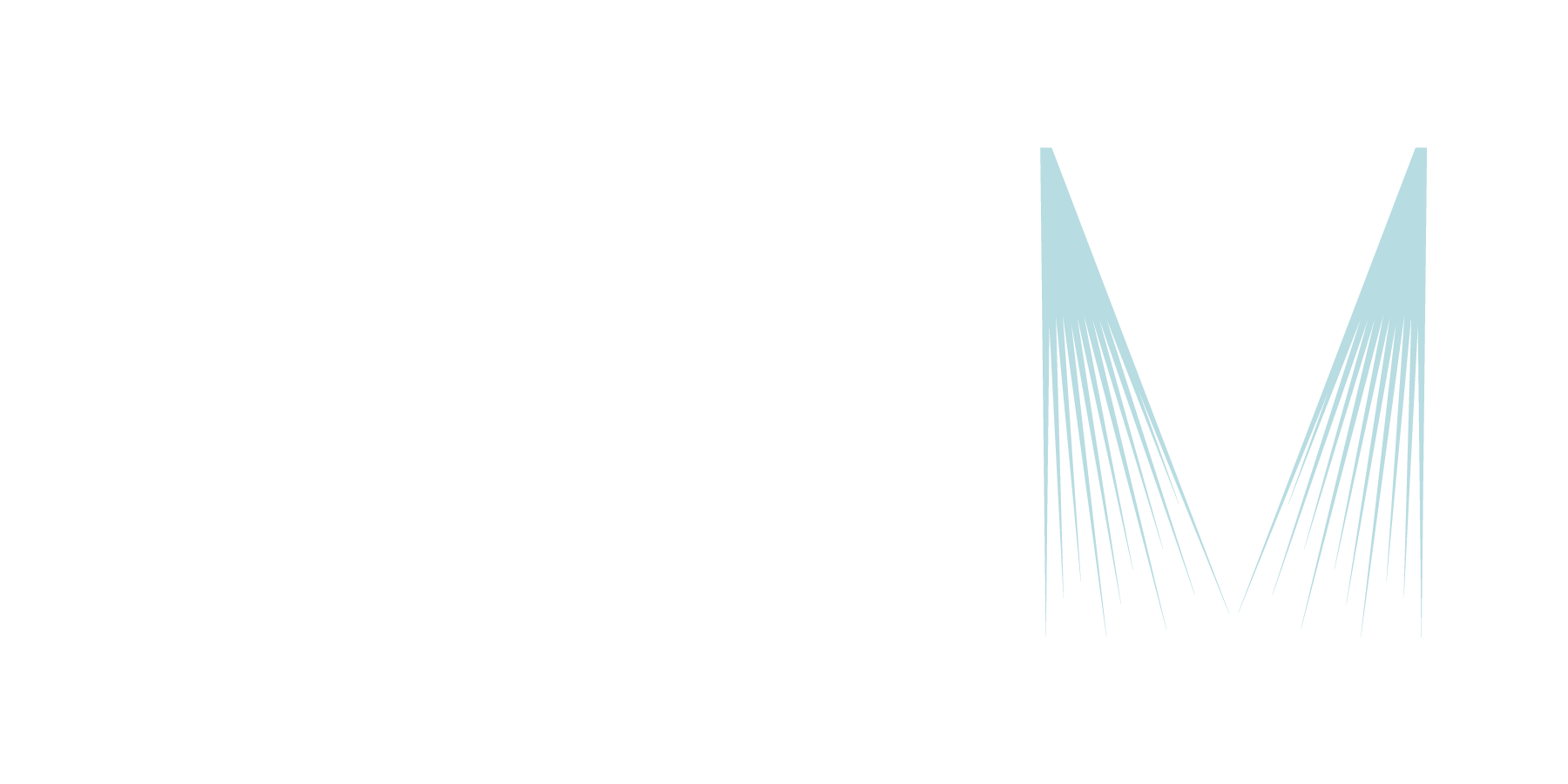 aerMist logo