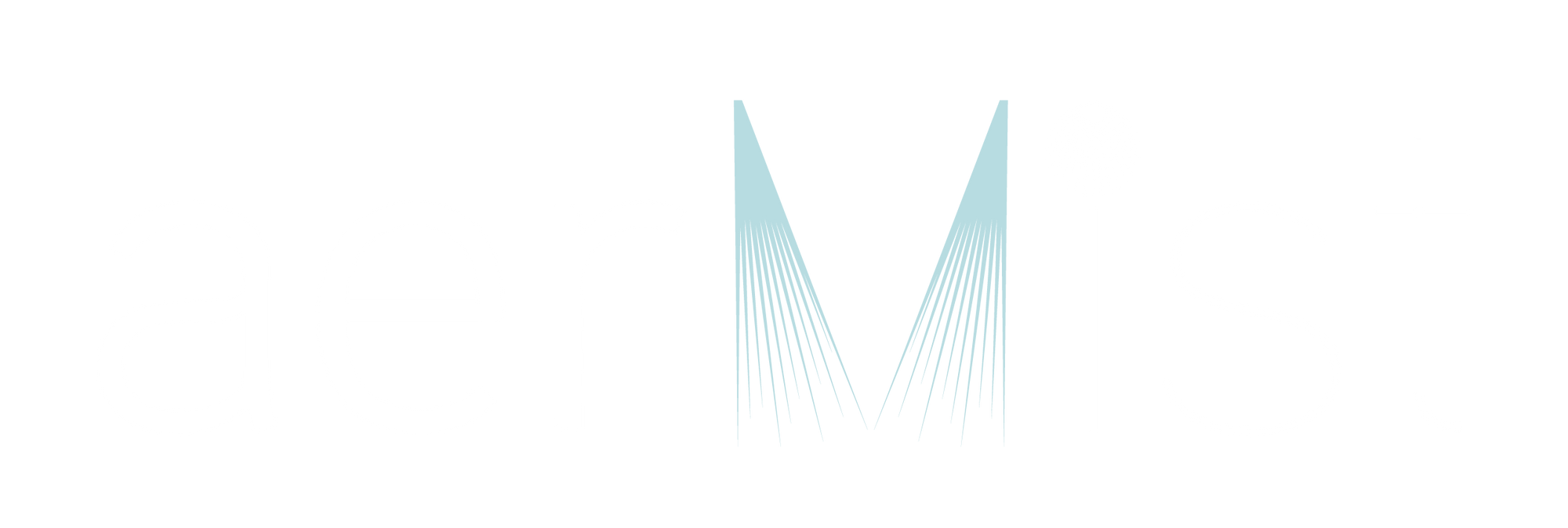 aerMist high pressure misting systems official logo